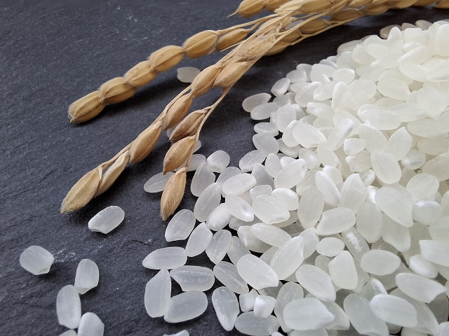 株主優待でもらえるお米券とは？仕組みと使い道を徹底解説