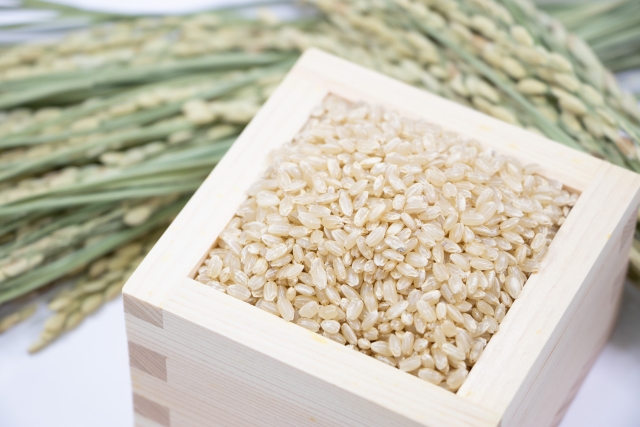 お米券がもらえる株主優待の選び方と注目すべきポイント